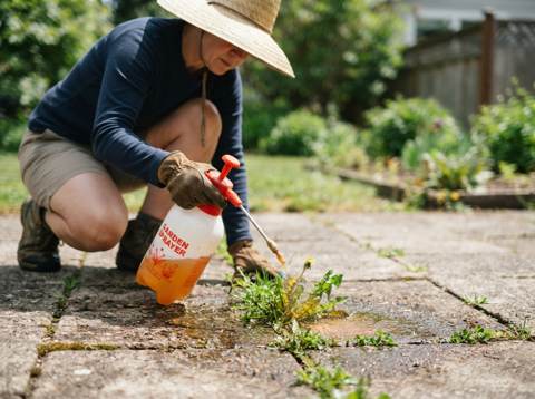 DIY Weed Killer: How to Make Your Own at Home